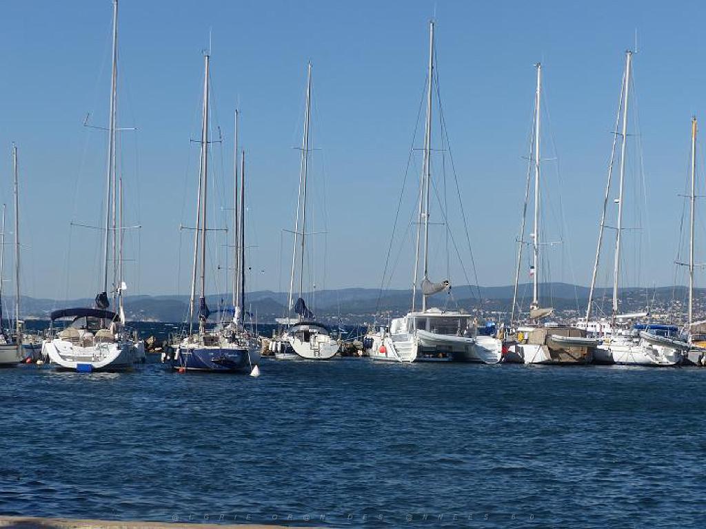 183 D16 BANDOL-1_000056.jpg
